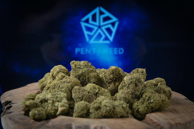 Pentaweed Haze 1g | das Beste aus Cannabinoiden und Terpenen
