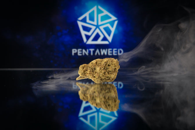 Pentaweed Haze 1g | das Beste aus Cannabinoiden und Terpenen