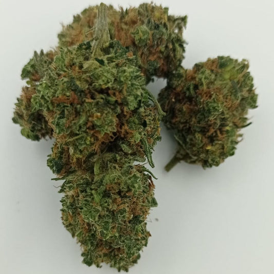 Orange Bud Tea H4CBD 25% 1g-1000g